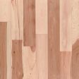 3 4  Unfinished Hardwood Sample 12  Online Hot Sale