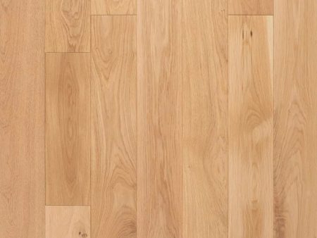 3 4  Unfinished Hardwood Sample 12  Online Hot Sale