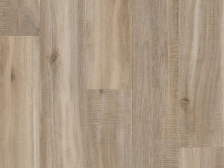 ADURA®Max Plank 6  Sample 12  For Cheap